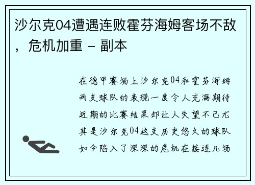 沙尔克04遭遇连败霍芬海姆客场不敌，危机加重 - 副本